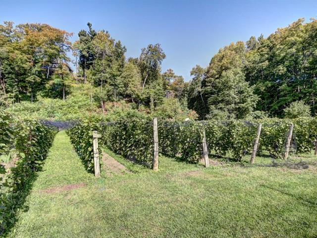 1333-1353 Route 138 Property Photo 4