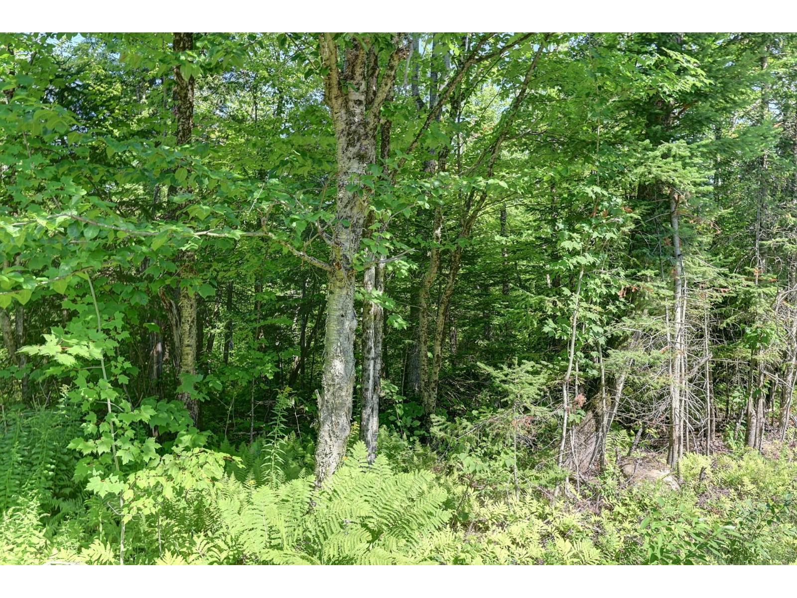 Ch. Charpentier Property Photo 11