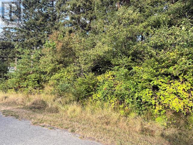Lot 3 CEDAR STREET Property Photo 1