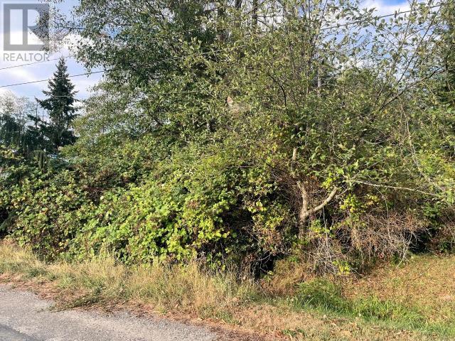 Lot 3 Cedar Street Property Photo 3