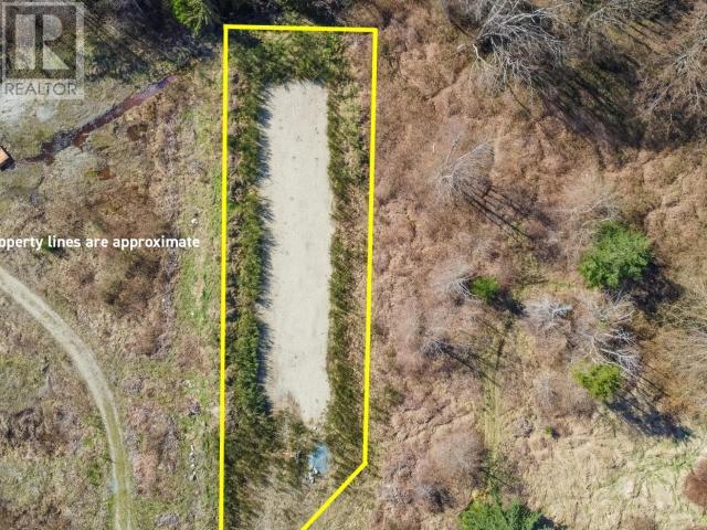 4893 Fernwood Ave Property Photo 4