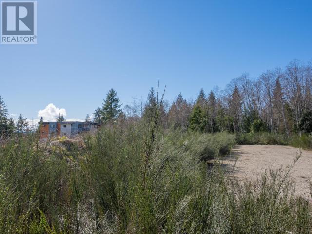 4893 Fernwood Ave Property Photo 15