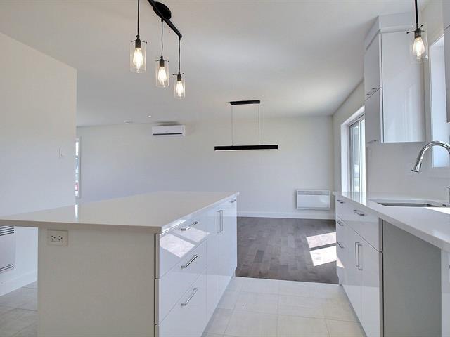 Rue Guy-linteau Property Photo 14
