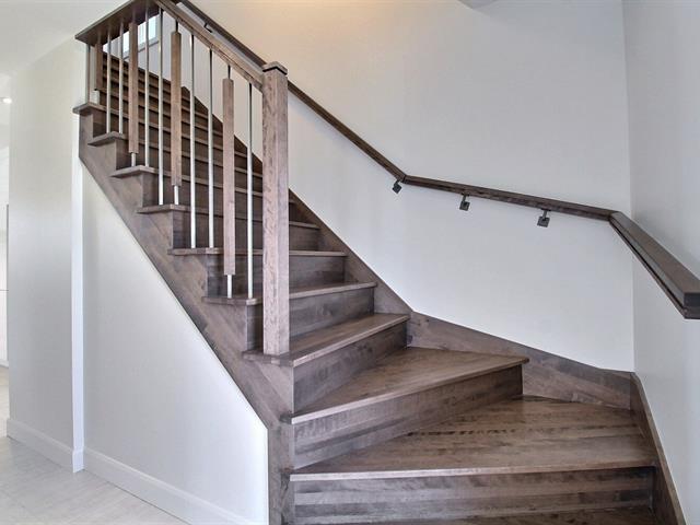 Rue Guy-linteau Property Photo 17