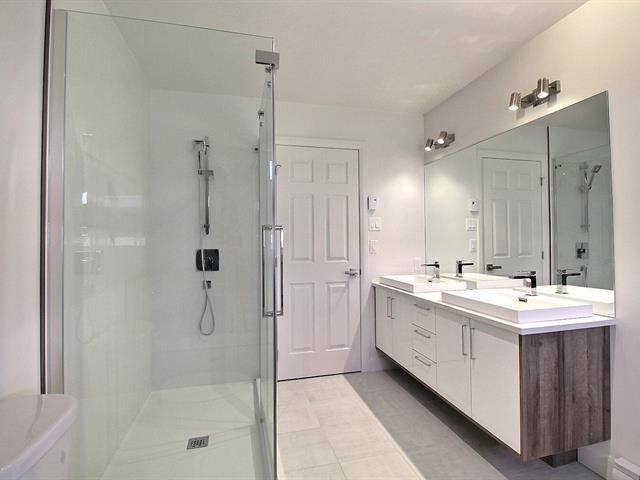 Rue Guy-linteau Property Photo 20