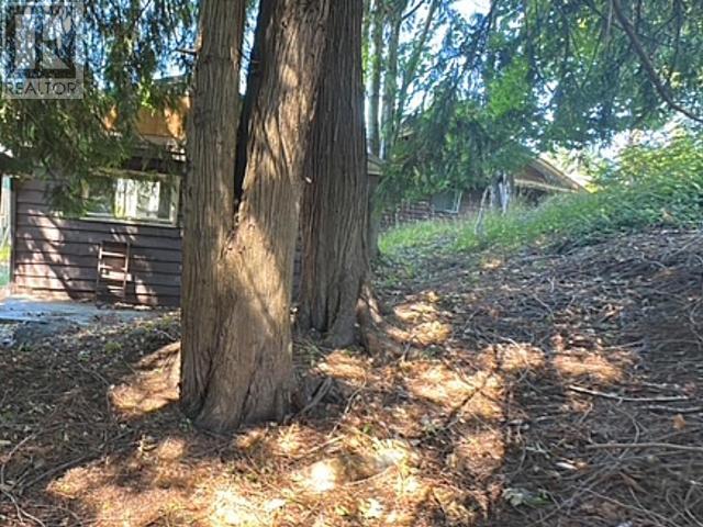 5334 Coleborn Street Property Photo 4