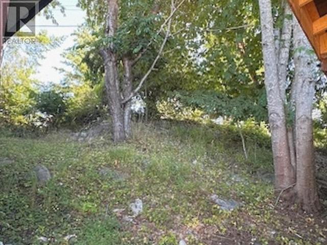 5334 Coleborn Street Property Photo 5