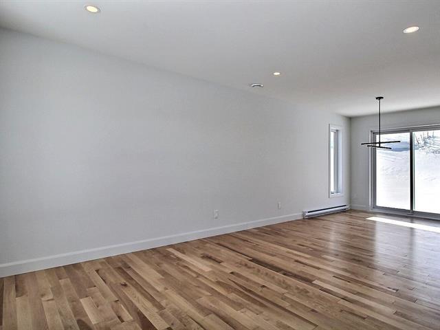 Rue Guy-linteau Property Photo 3