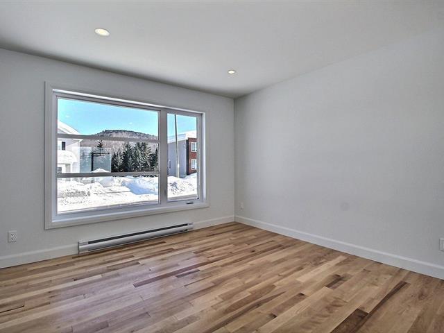 Rue Guy-linteau Property Photo 4