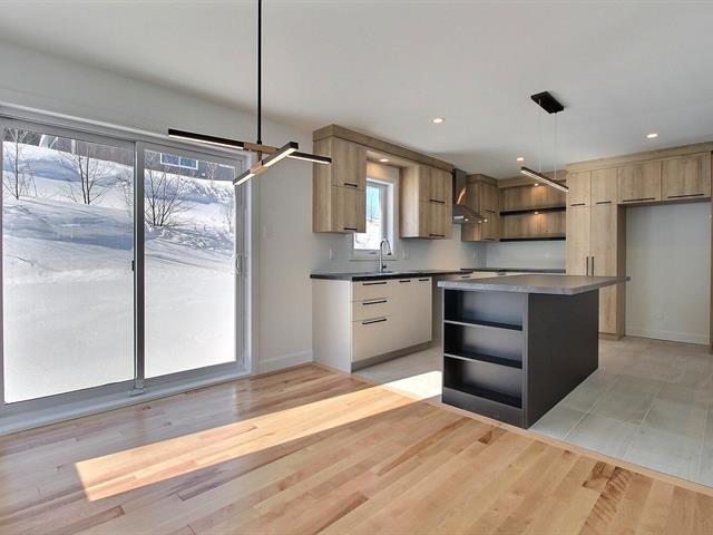 Rue Guy-linteau Property Photo 7