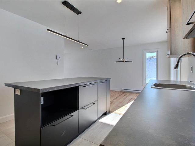 Rue Guy-linteau Property Photo 11