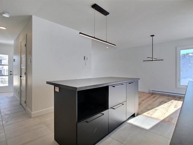 Rue Guy-linteau Property Photo 12