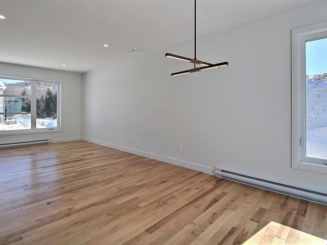 Rue Guy-linteau Property Photo 13