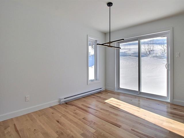 Rue Guy-linteau Property Photo 14