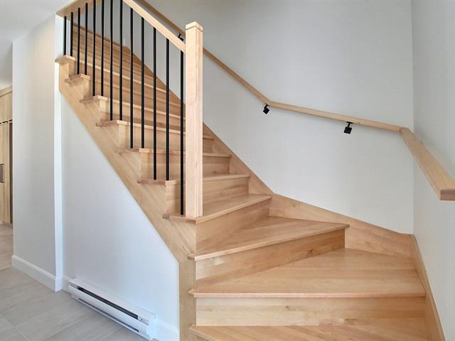 Rue Guy-linteau Property Photo 15