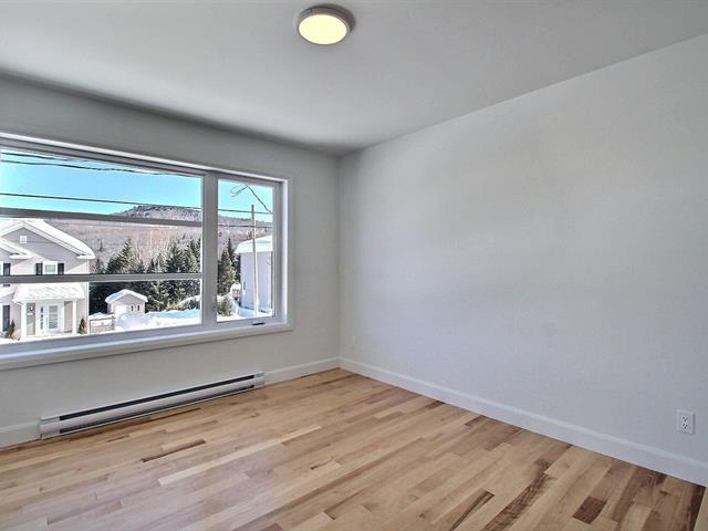Rue Guy-linteau Property Photo 17