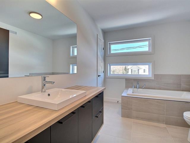 Rue Guy-linteau Property Photo 19
