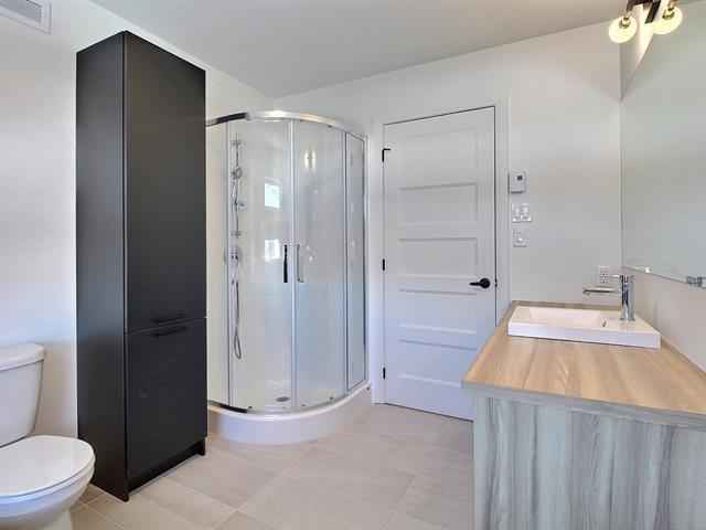 Rue Guy-linteau Property Photo 20