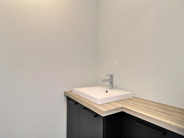Rue Guy-linteau Property Photo 22