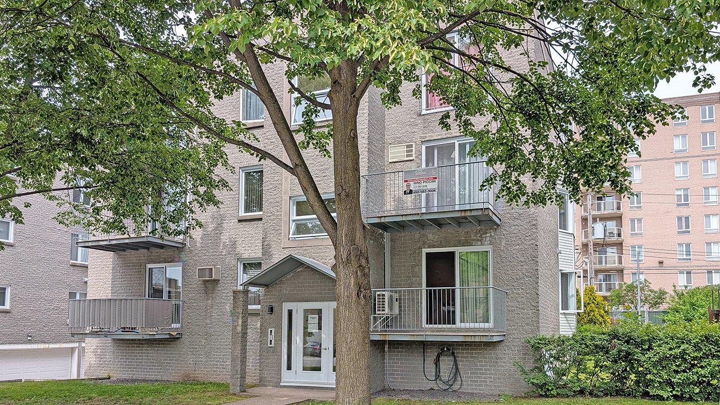 7081 Rue St-zotique E., #203 Property Photo 2