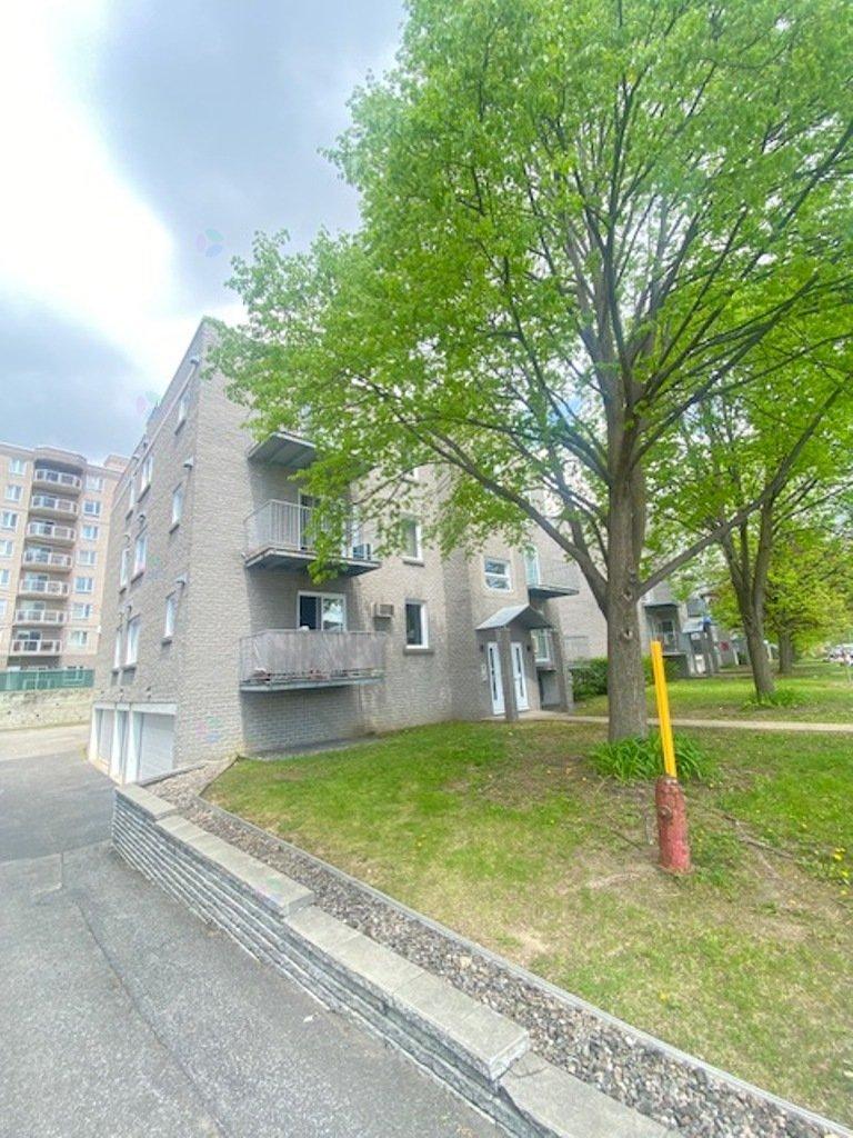7081 Rue St-zotique E., #203 Property Photo 4