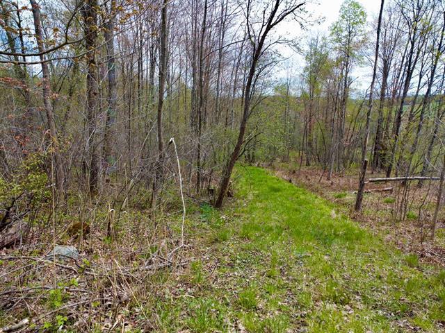 Ch. De Capelton Property Photo 12