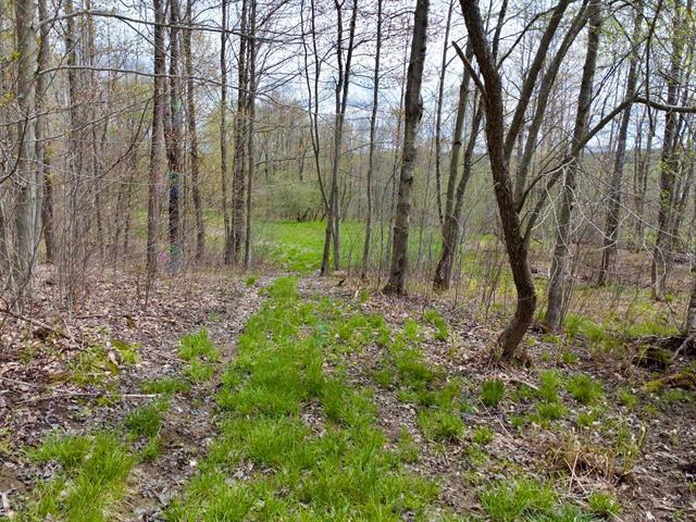 Ch. De Capelton Property Photo 14