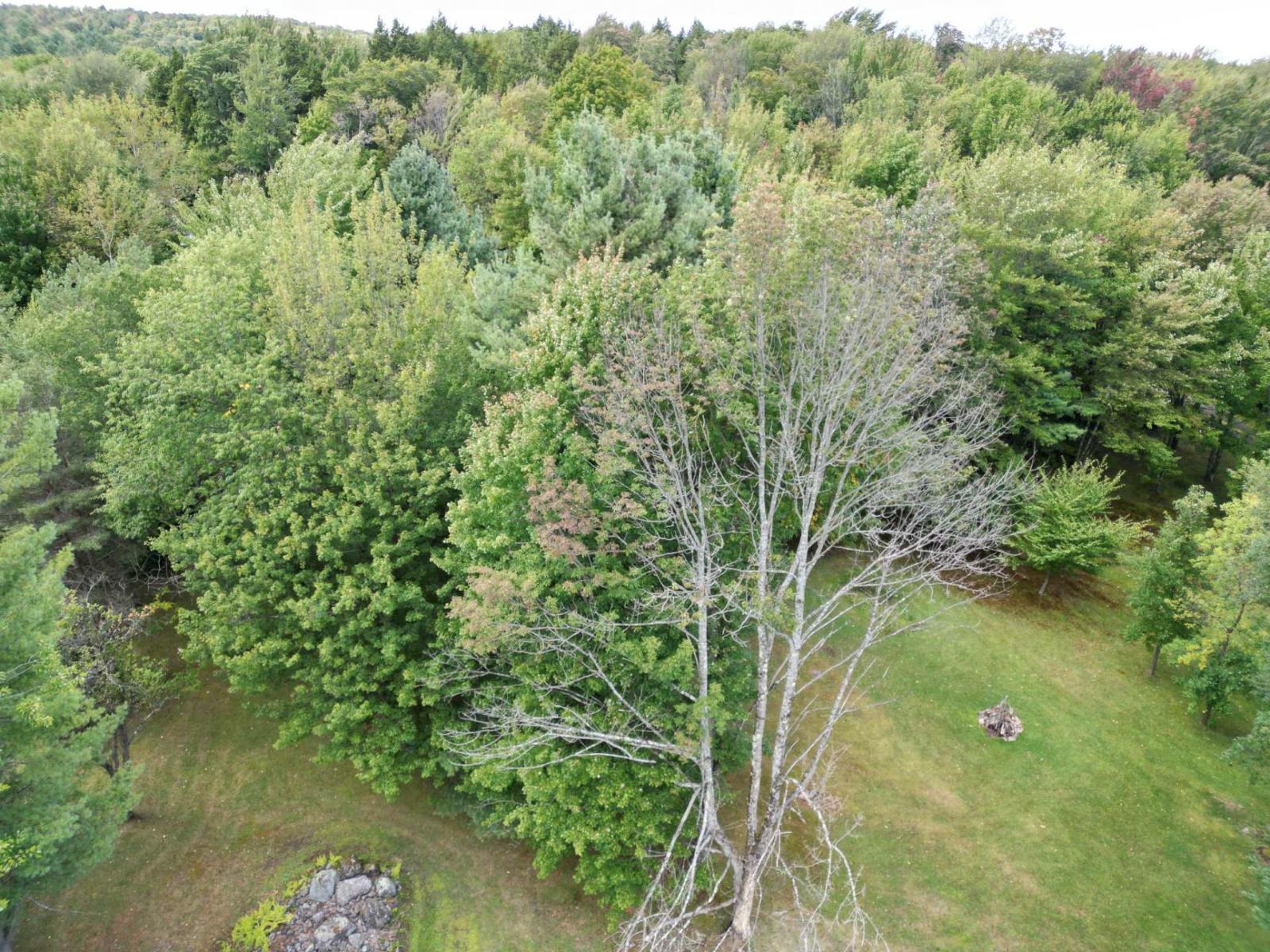 Ch. Thompson Property Photo 5