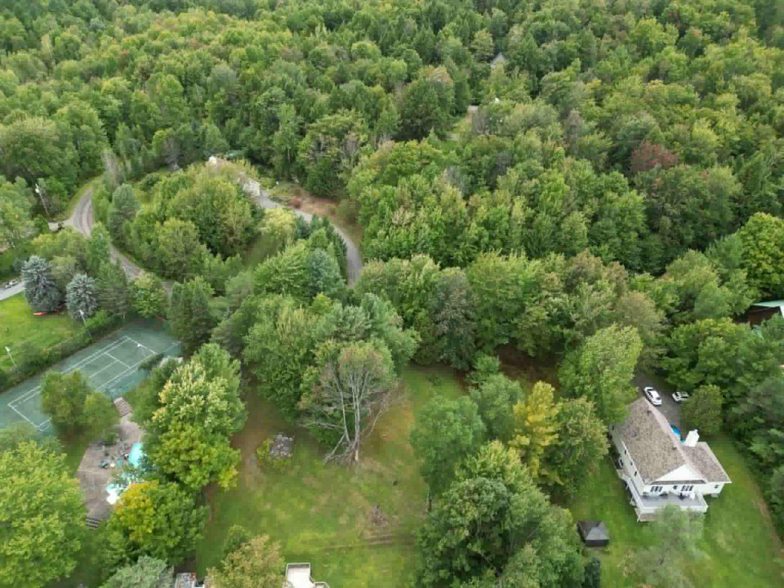Ch. Thompson Property Photo 6
