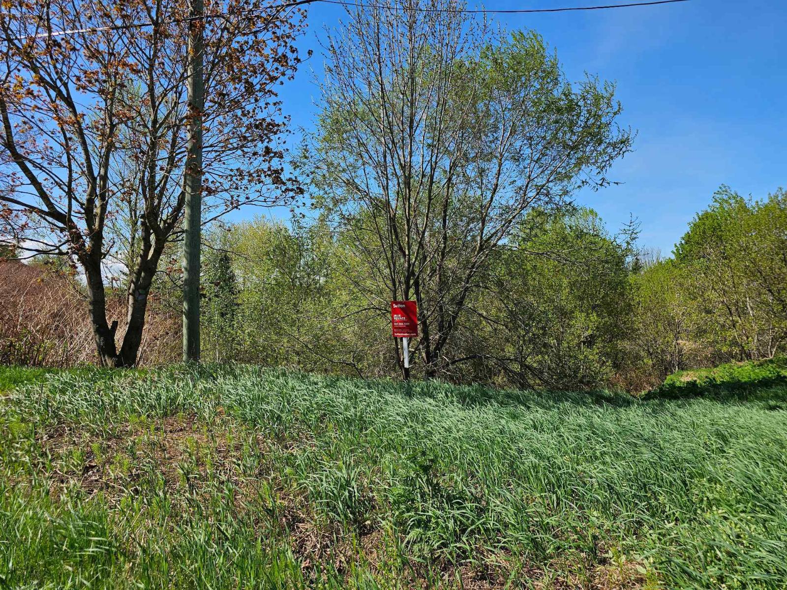 Rue Provost Property Photo 16