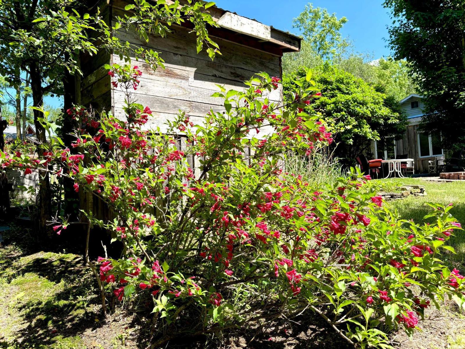 10 Rue Des Hérons Property Photo 25