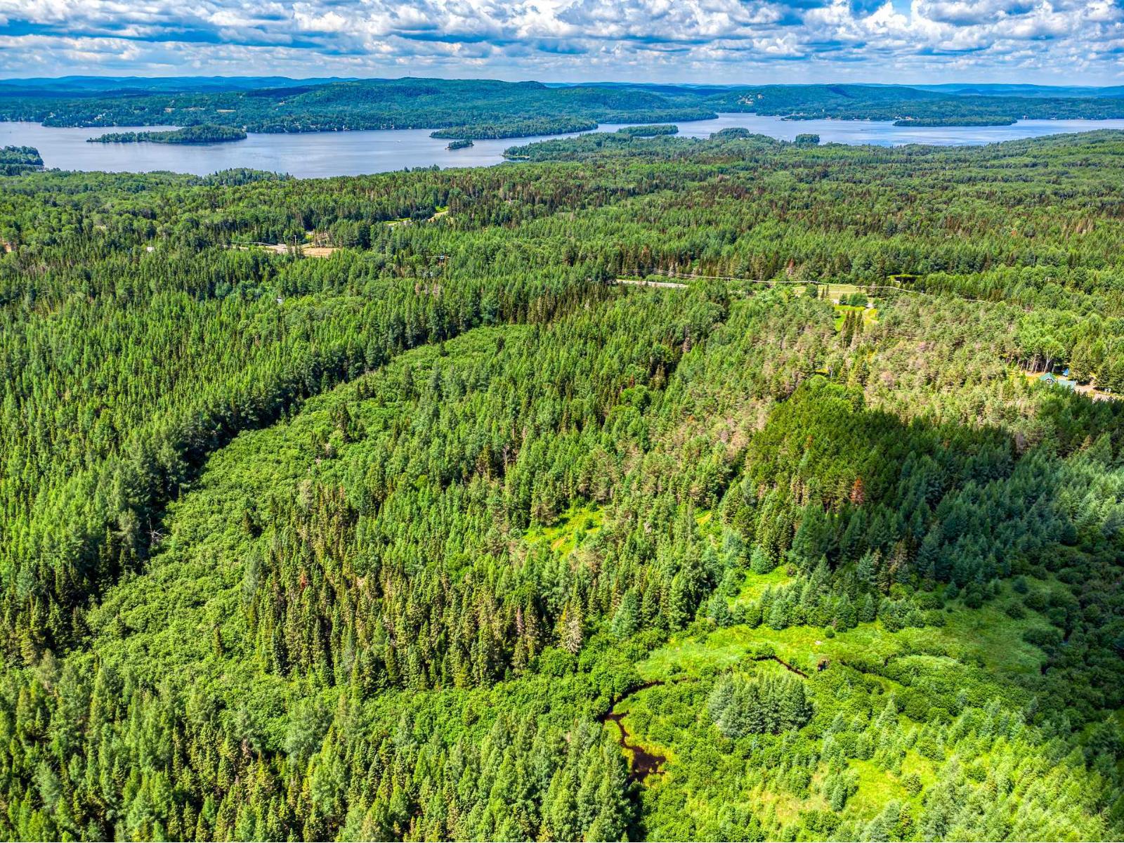 Ch. Du Lac-taureau Property Photo 10