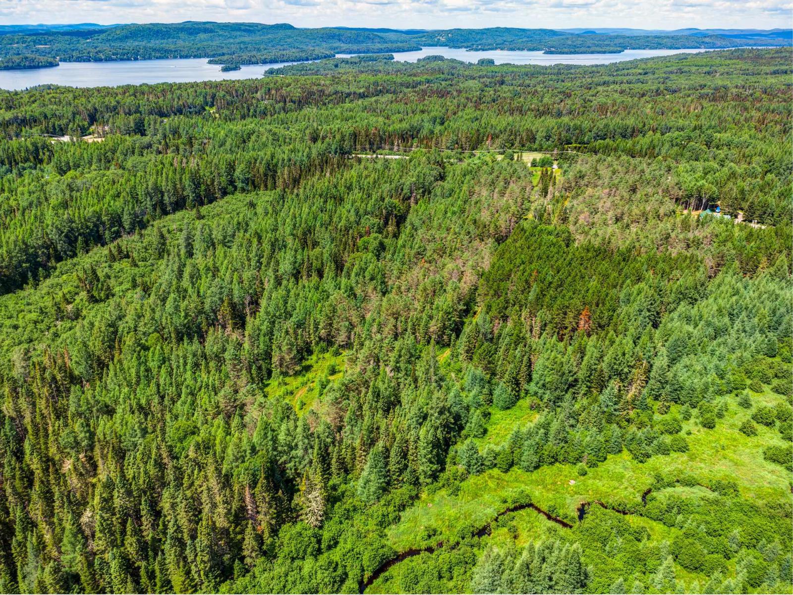 Ch. Du Lac-taureau Property Photo 11