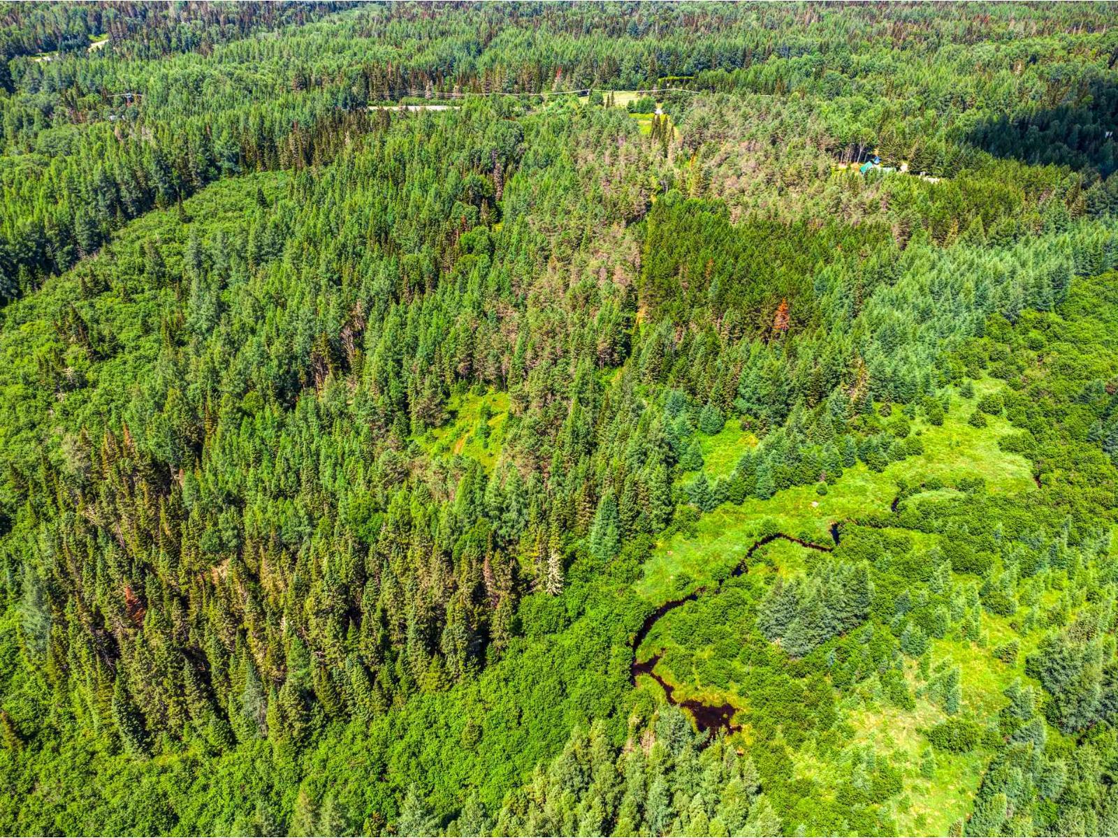 Ch. Du Lac-taureau Property Photo 14