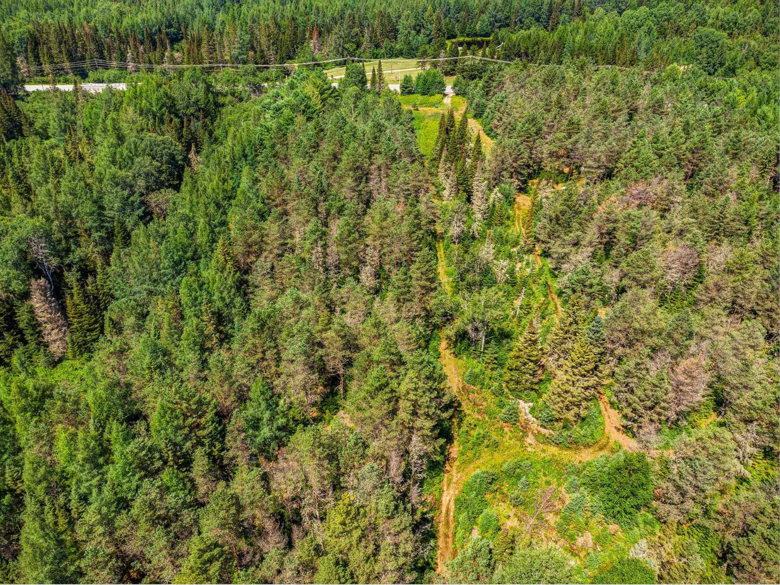 Ch. Du Lac-taureau Property Photo 18