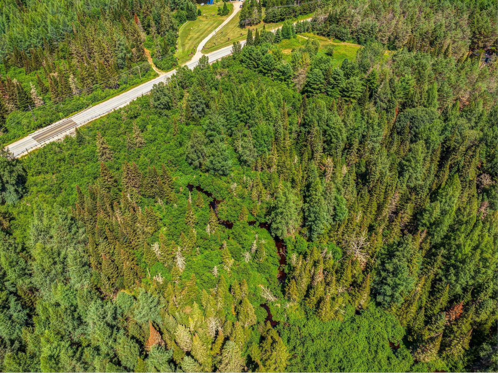 Ch. Du Lac-taureau Property Photo 19