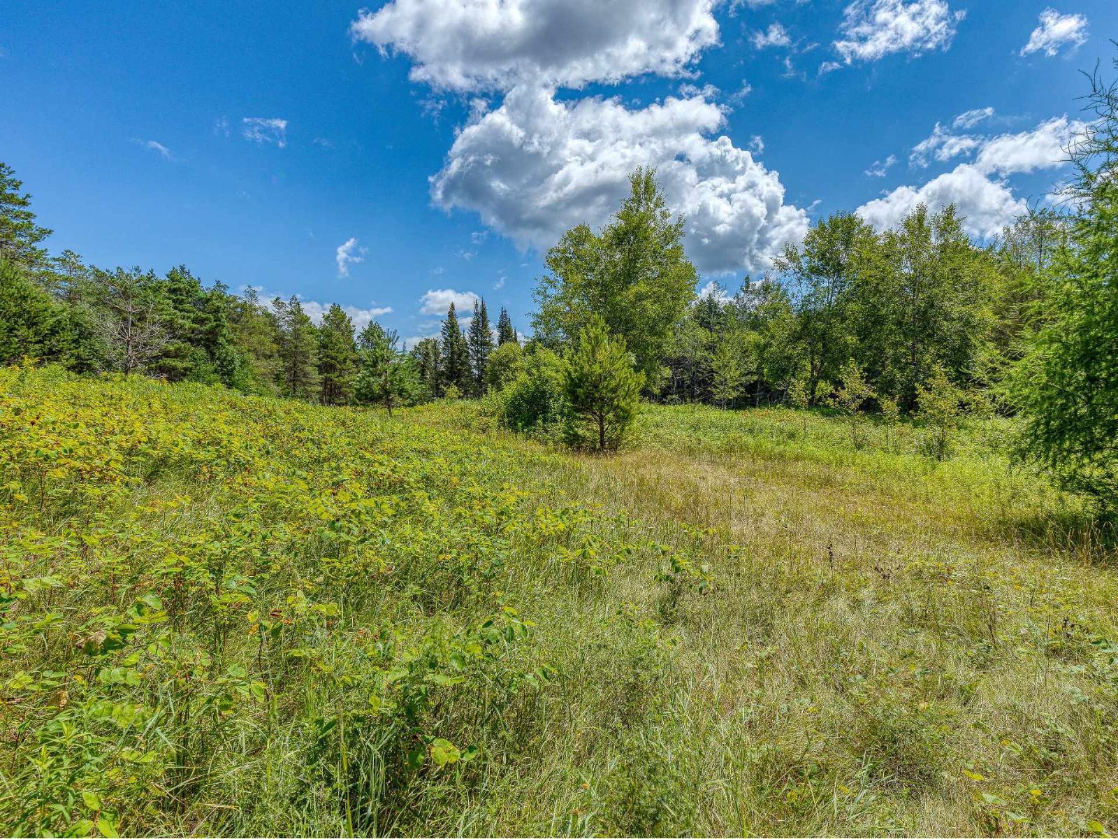 Ch. Du Lac-taureau Property Photo 22