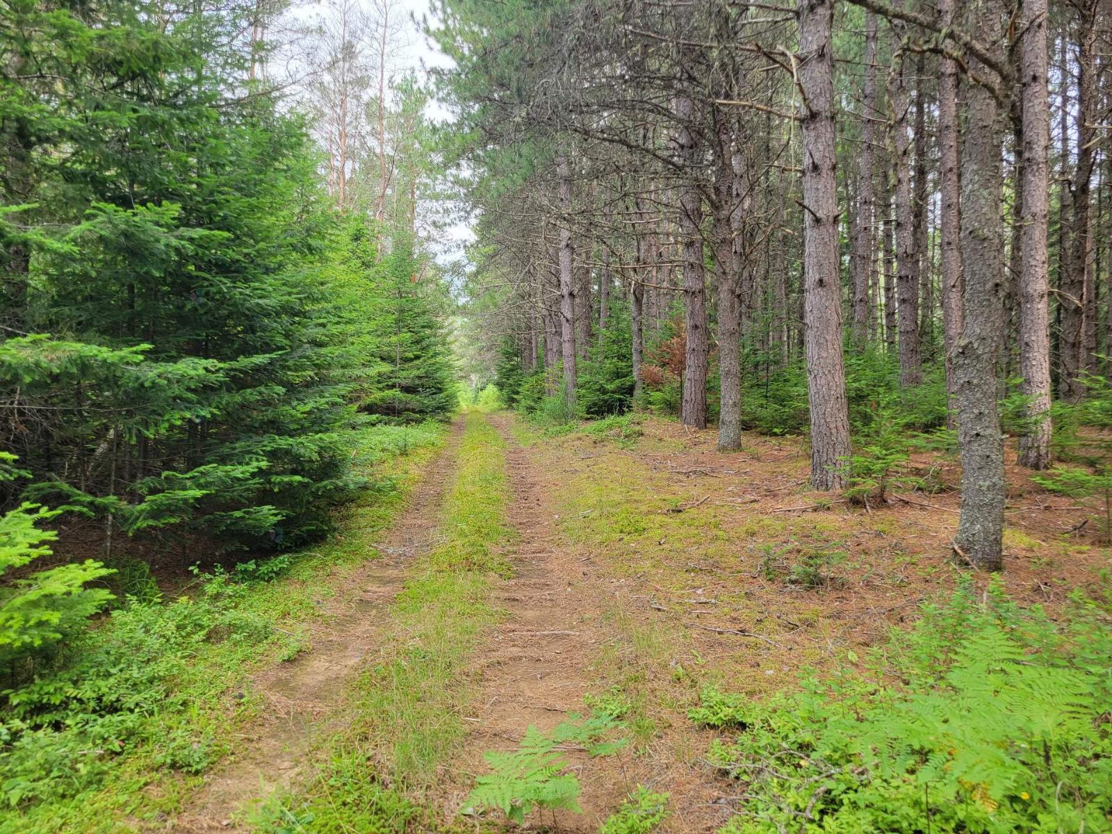 Ch. Du Lac-taureau Property Photo 34