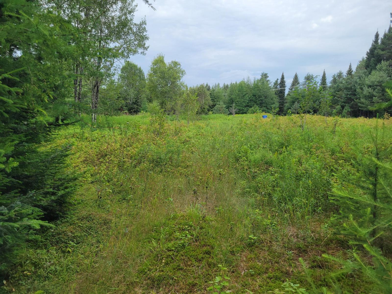 Ch. Du Lac-taureau Property Photo 35
