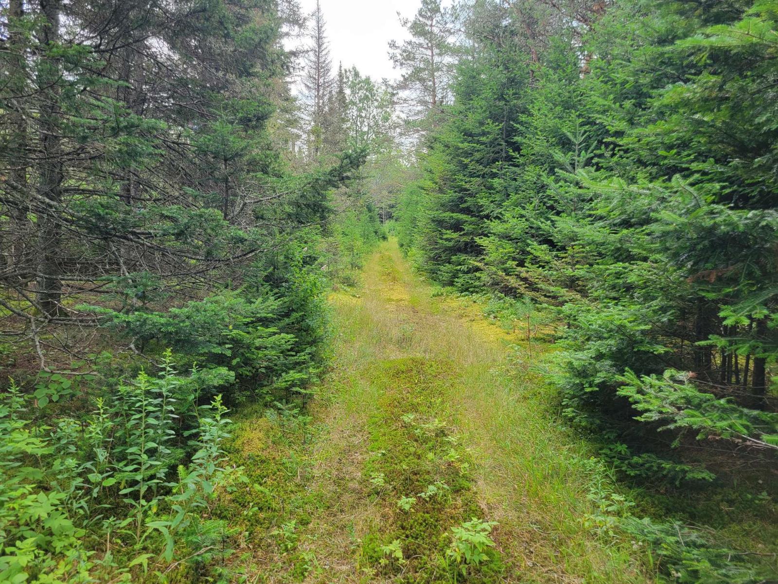 Ch. Du Lac-taureau Property Photo 36