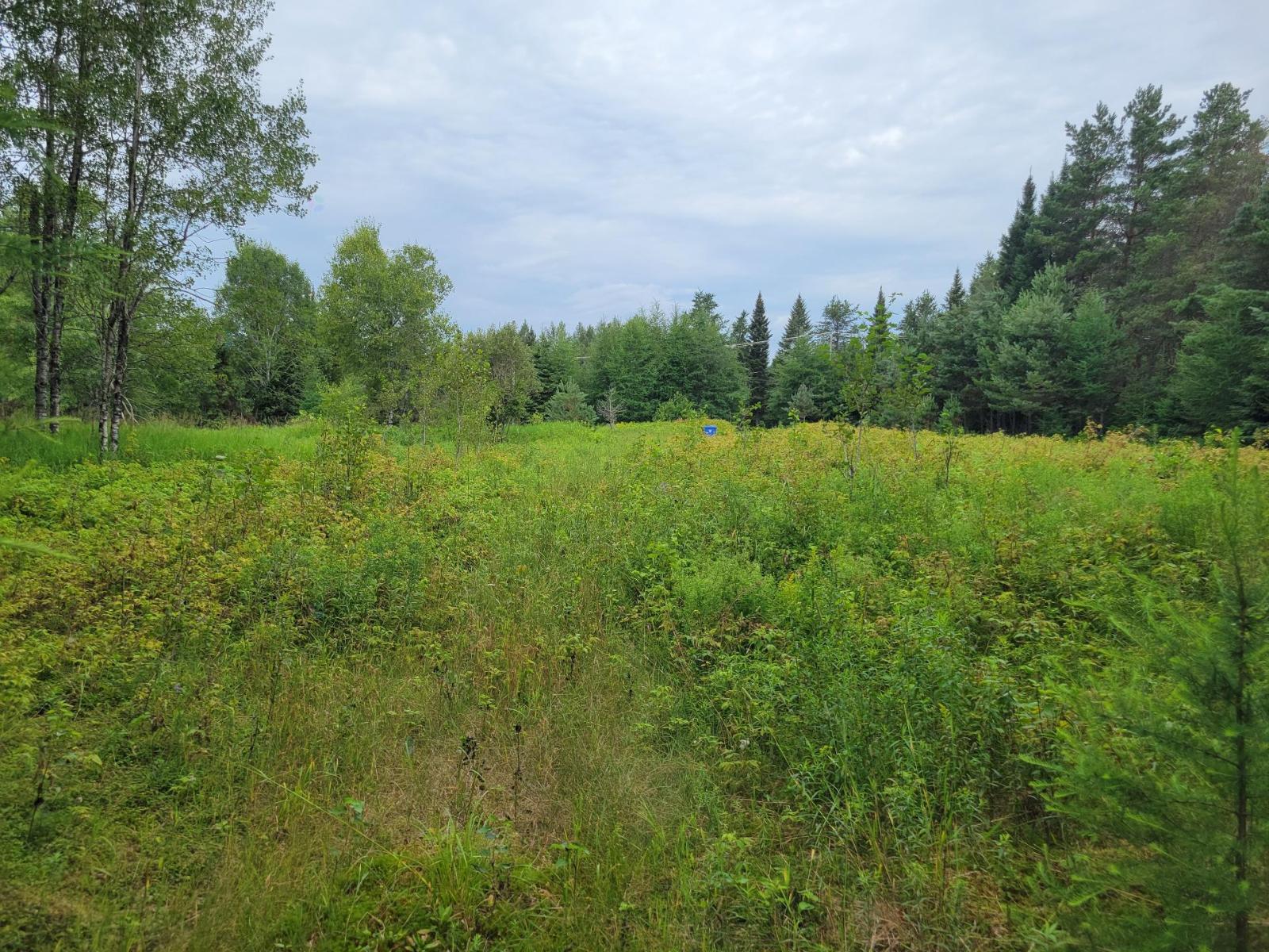 Ch. Du Lac-taureau Property Photo 38