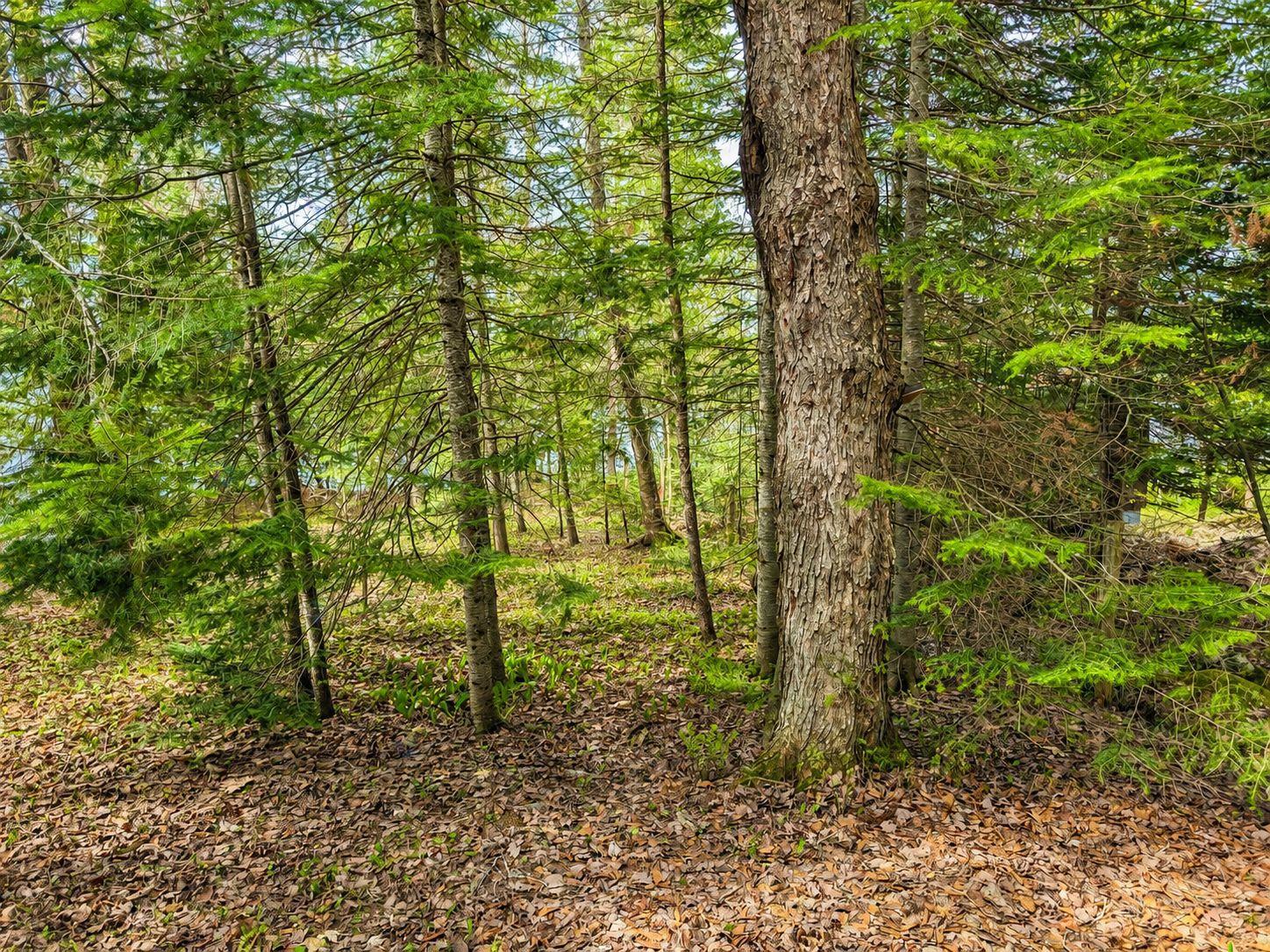 Ch. Du Lac-des-trois-milles E. Property Photo 2