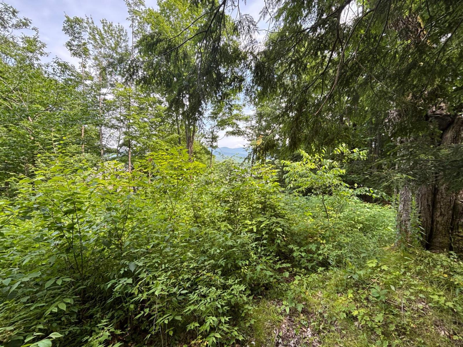 Ch. Thompson Property Photo 2