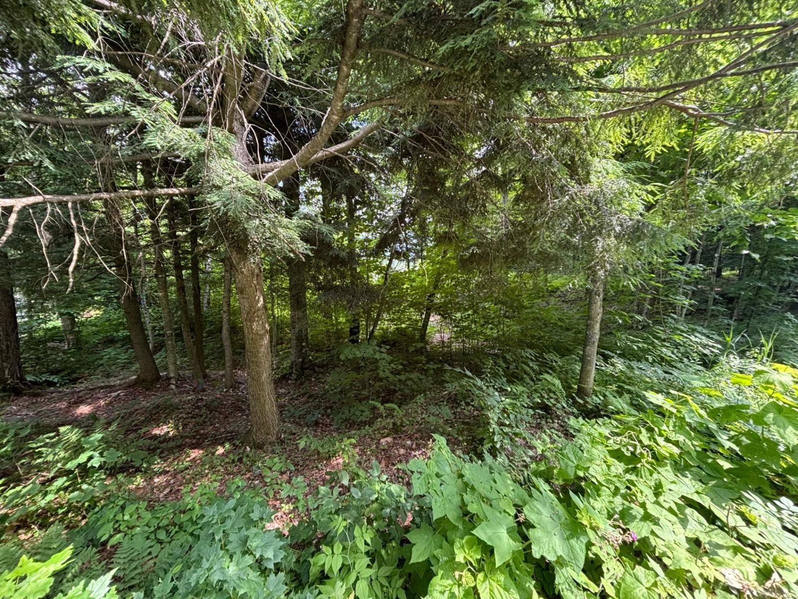Ch. Thompson Property Photo 9