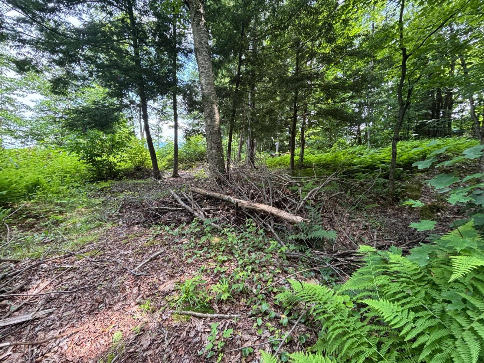 Ch. Thompson Property Photo 10