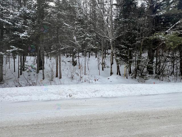 Ch. Du Lac-morgan Property Photo 5