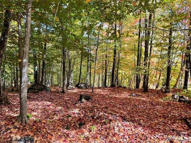 Ch. Des Cumulus Property Photo 2