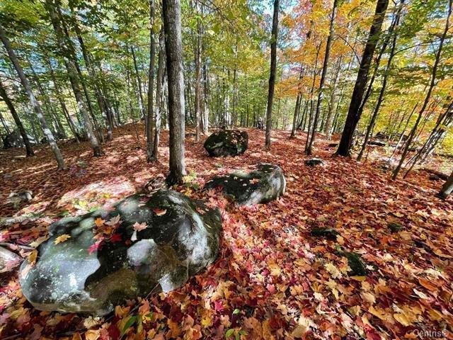 Ch. Des Cumulus Property Photo 3