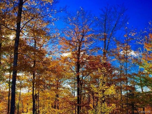 Ch. Des Cumulus Property Photo 4