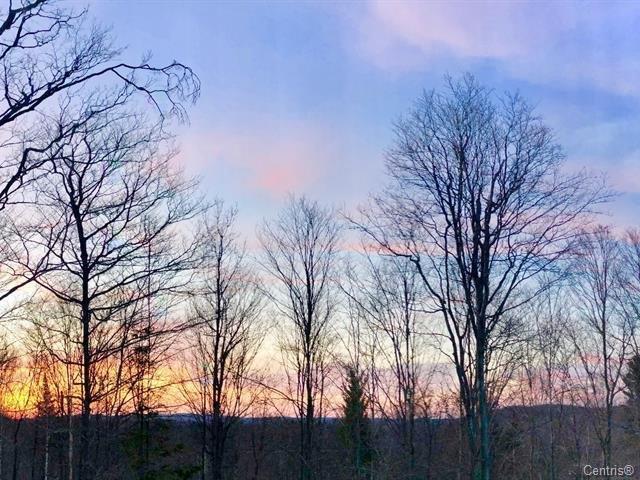 Ch. Des Cumulus Property Photo 6